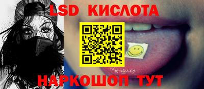 шишки Будённовск