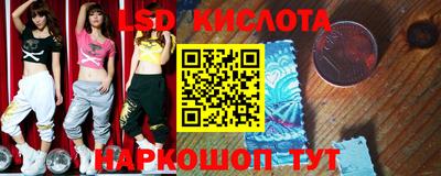 шишки Будённовск