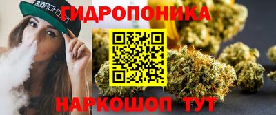 шишки Будённовск