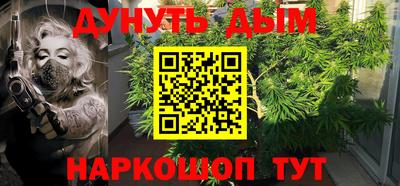 шишки Будённовск
