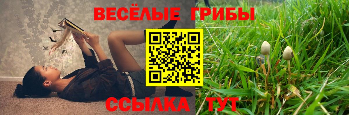 Галлюциногенные грибы мухоморы  Псилоцибиновые грибы ЛСД  Щёлково  Вход с VPN 